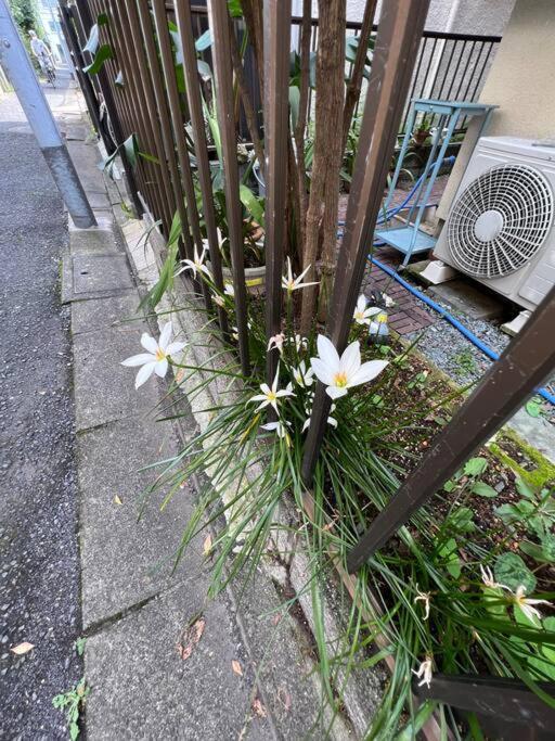 Ferienwohnung 東京芳华驿站 Präfektur Tokio Exterior foto